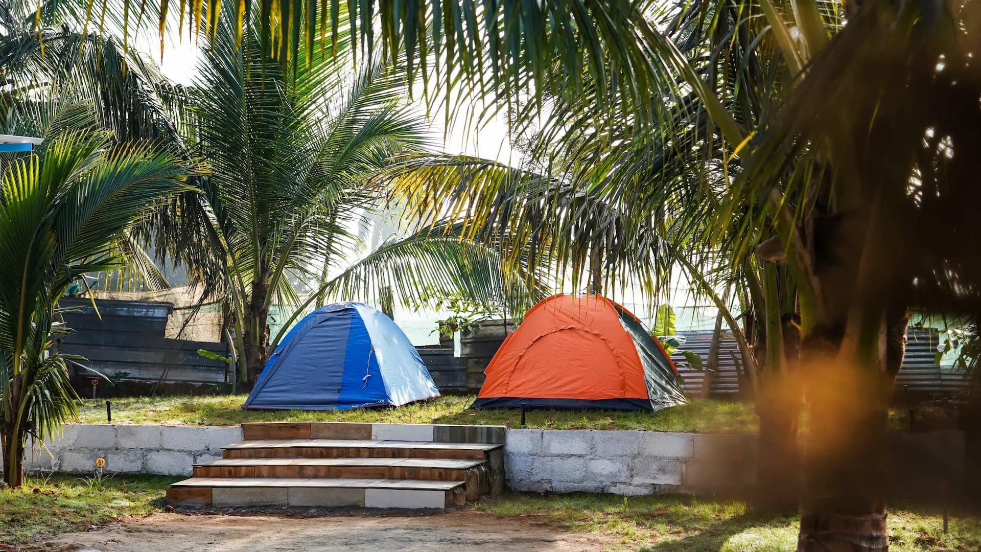 bmf-f553 kolar image 21
