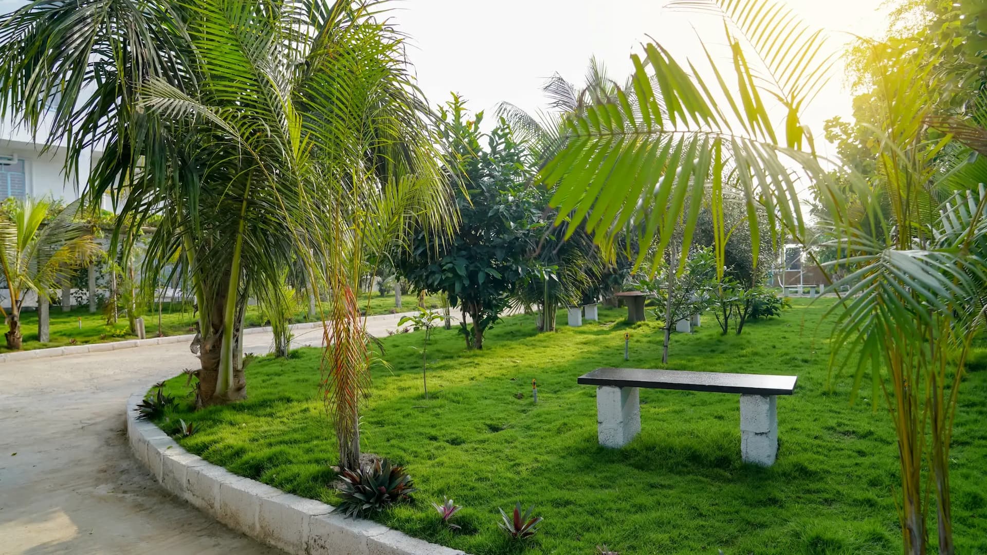 bmf-f553 kolar image 36