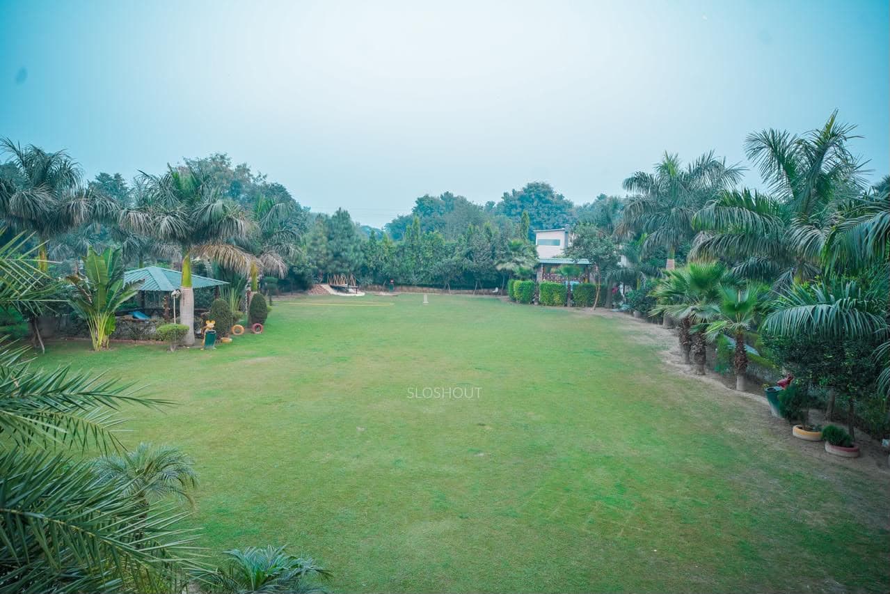 bmf-f554 delhi image 8