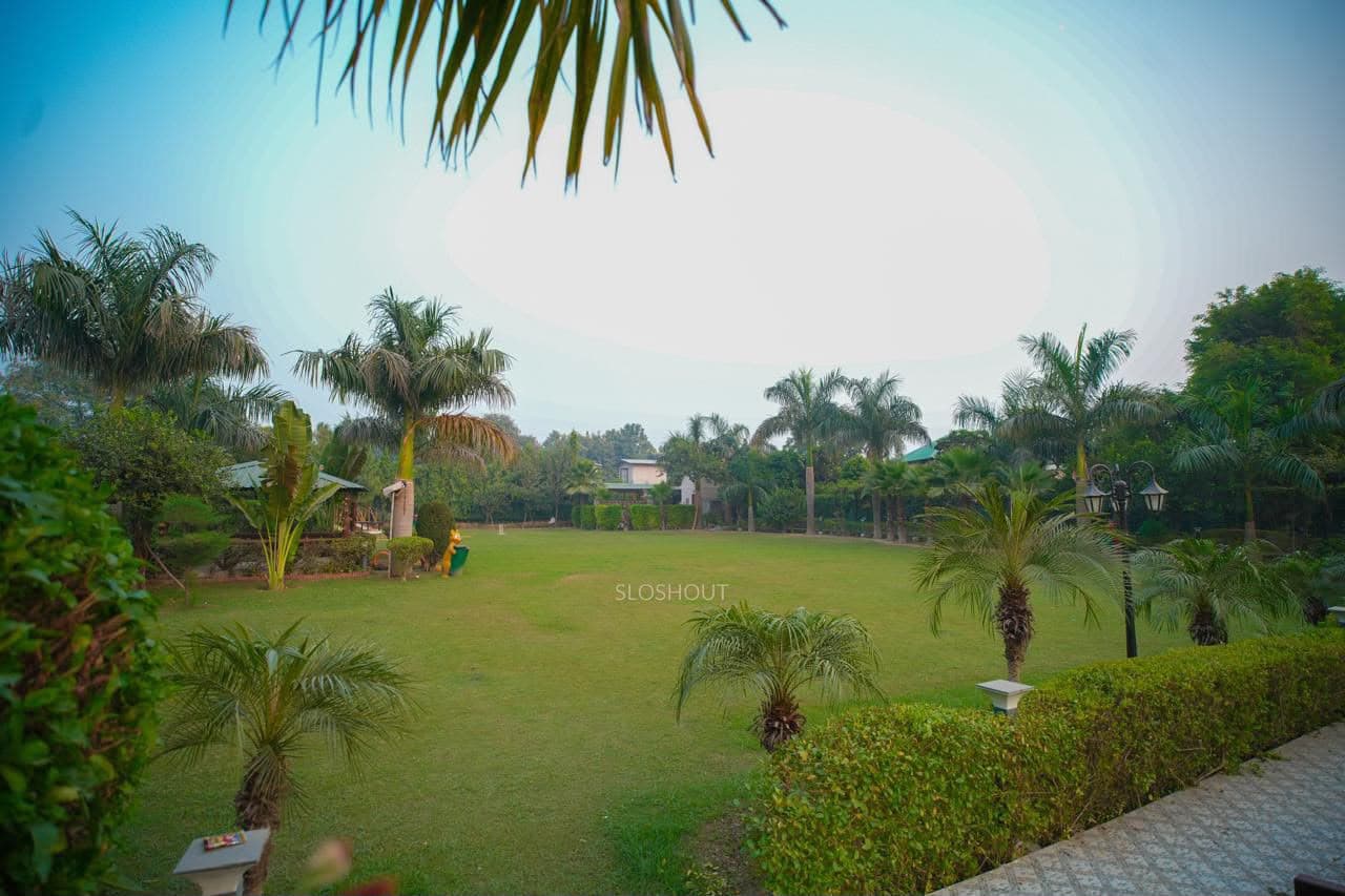 bmf-f554 delhi image 7