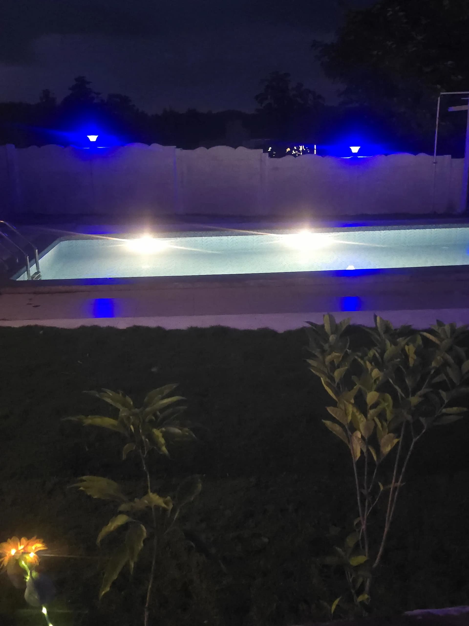 Photo 18 of 19 – 3 BHK farmhouse with a pool in Neral, Karjat (BMF-F590)