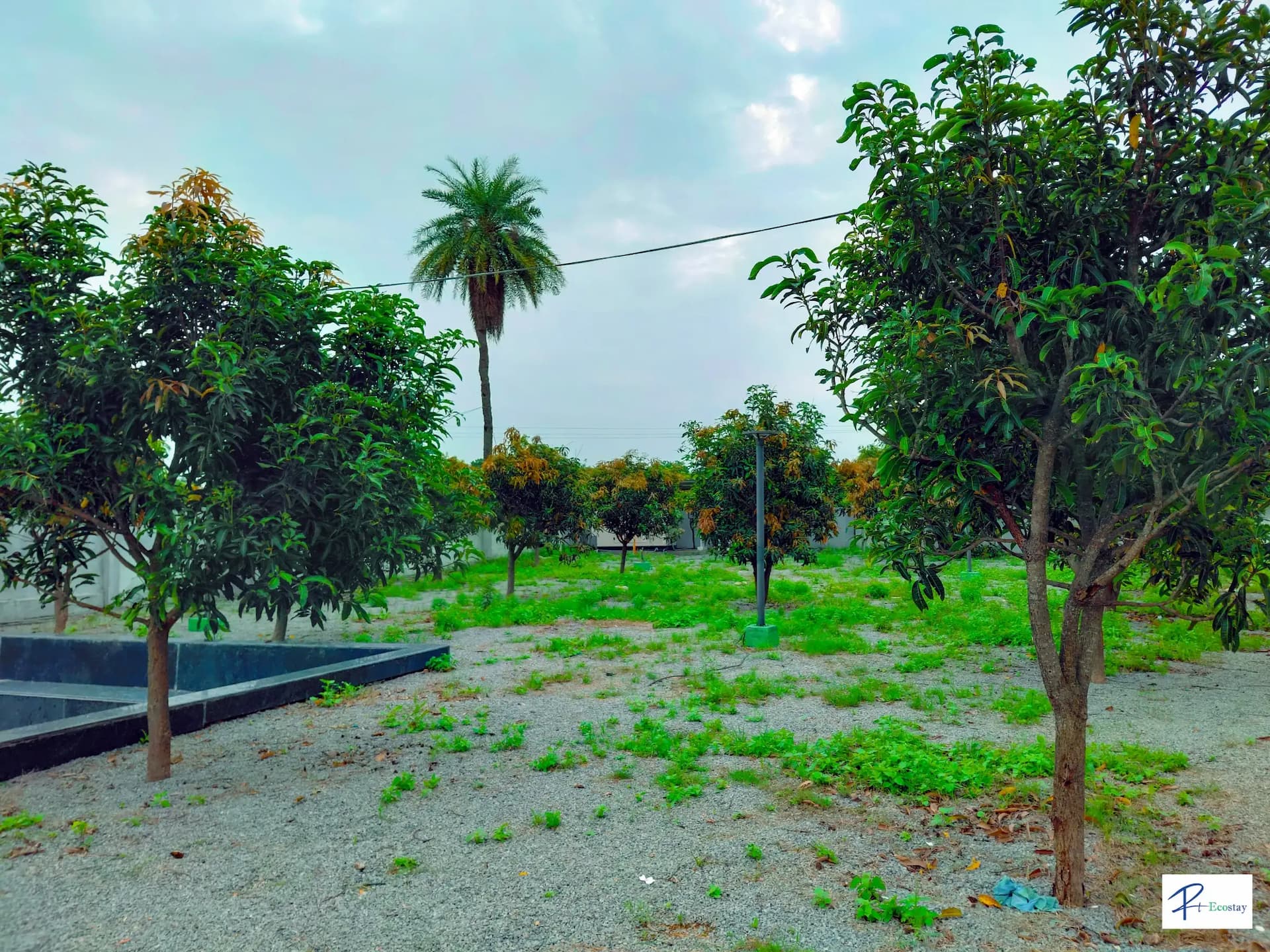 Photo 15 of 19 – 6 BHK farmhouse with a pool in Medchal, Hyderabad (BMF-F596)