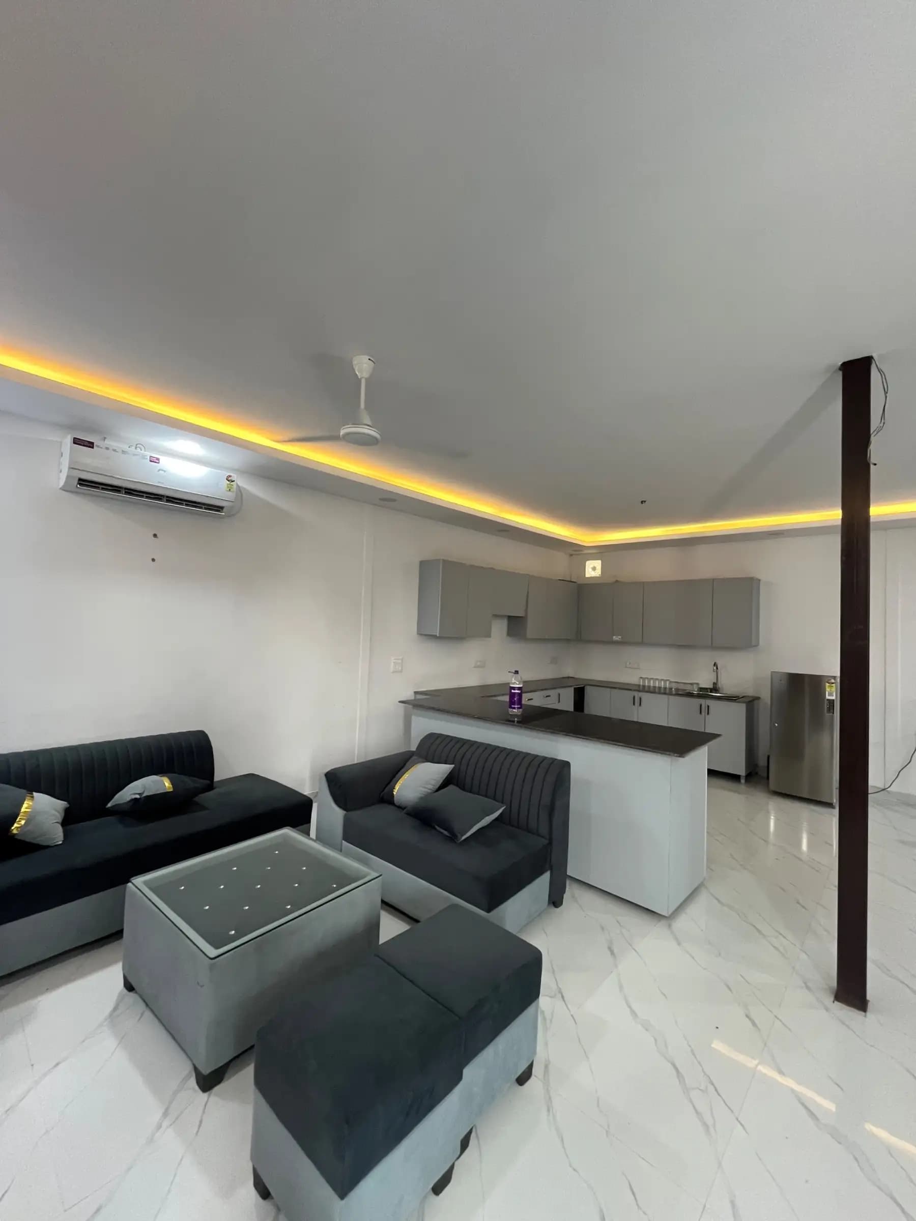Photo 10 of 17 – 3 BHK farmhouse with a private pool in Noida, Delhi (BMF-F600)