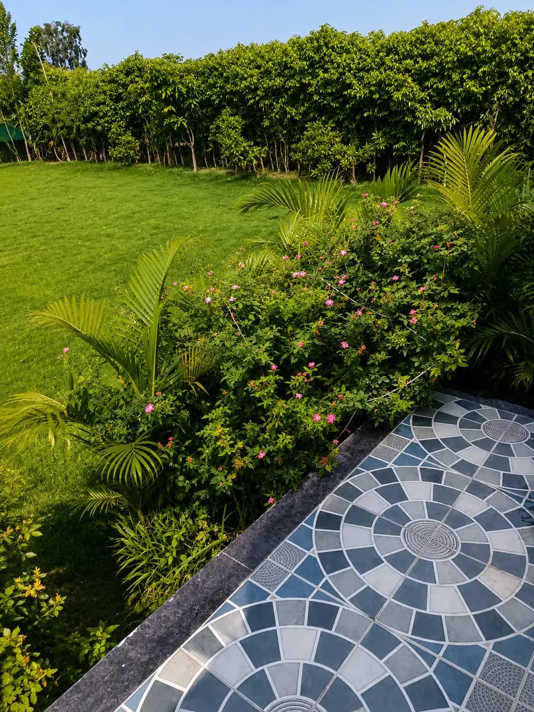 Photo 8 of 18 – 3 BHK villa with a private pool in Noida, Delhi (BMF-V609)
