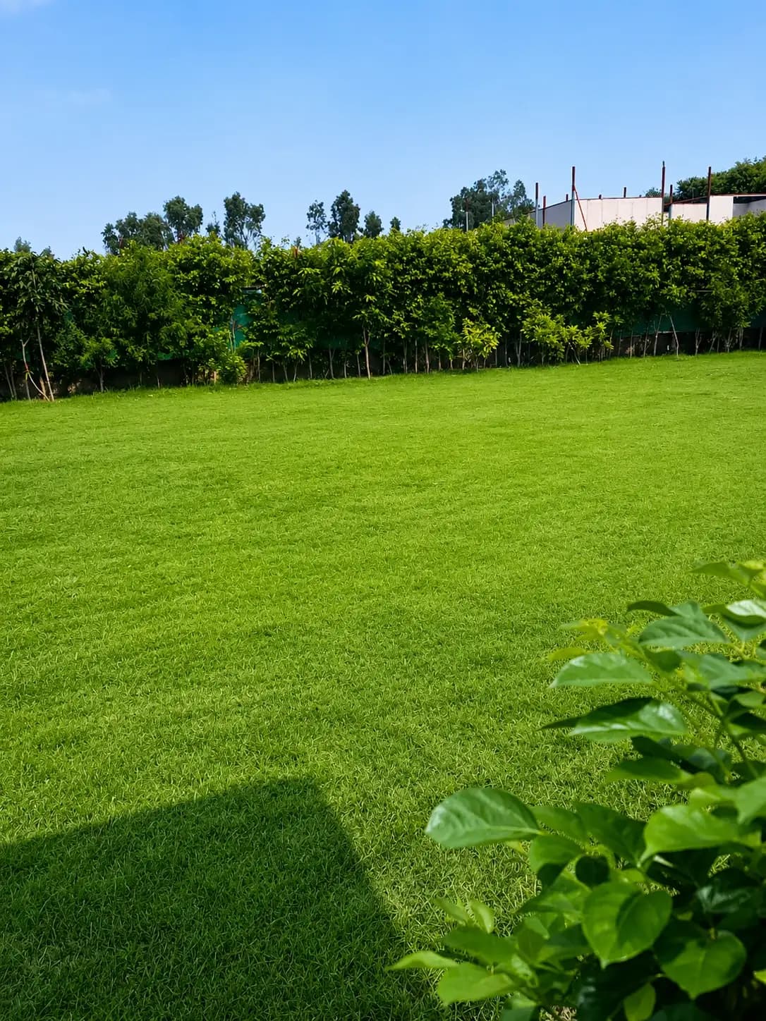 Photo 14 of 18 – 3 BHK villa with a private pool in Noida, Delhi (BMF-V609)