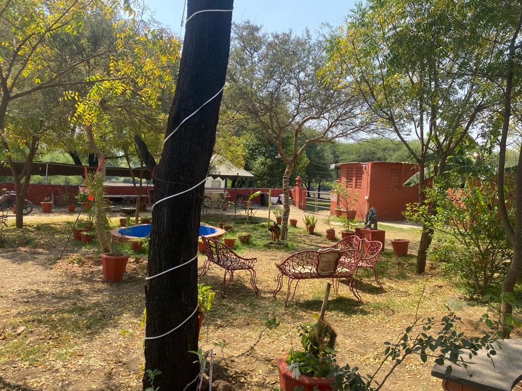 Photo 11 of 13 – 6-room resort with a pool in Titrdi, Udaipur (BMF-R616)