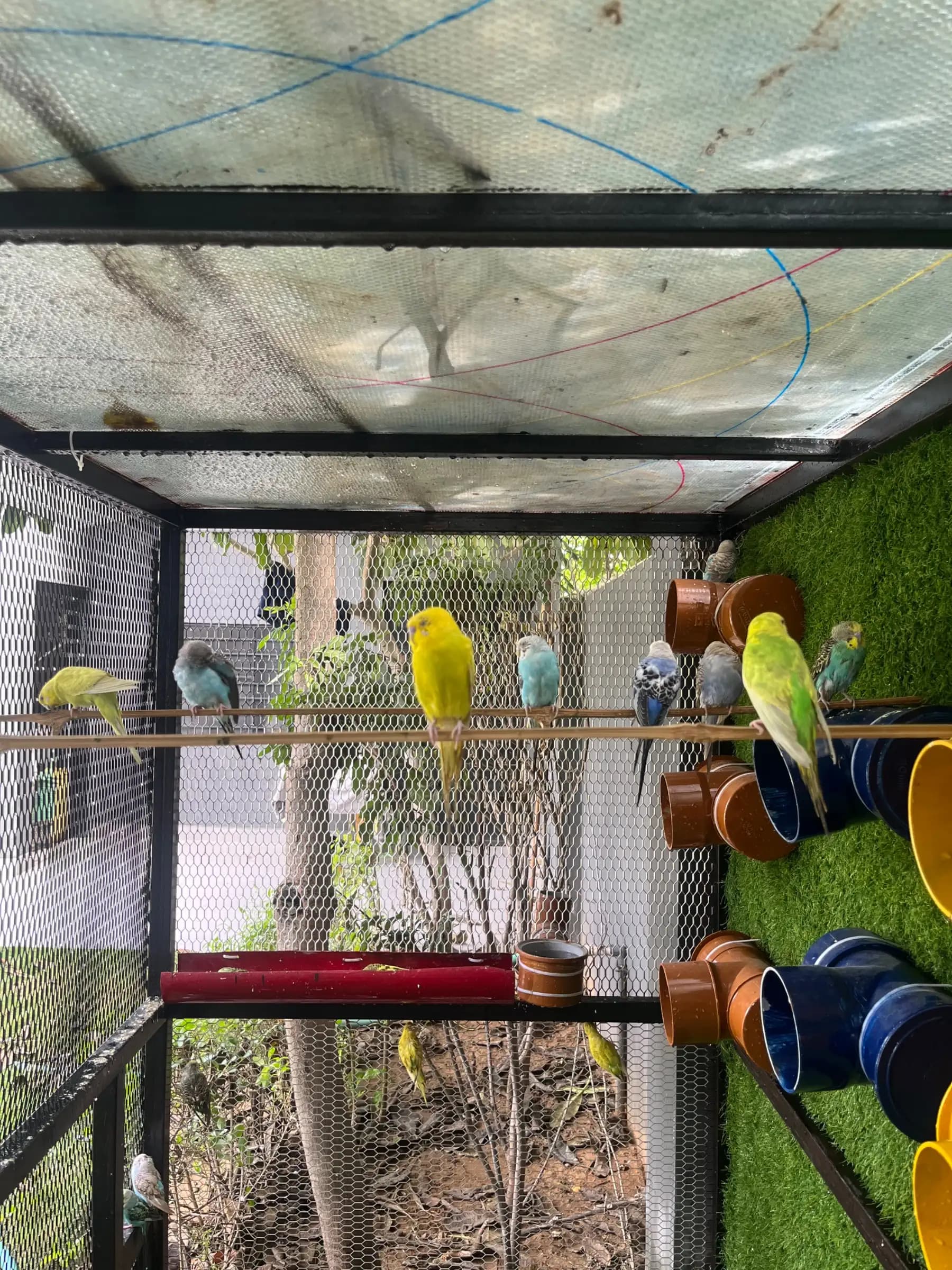 Photo 11 of 19 – 2 BHK villa with a private pool in Jagatpura, Jaipur (BMF-V619)