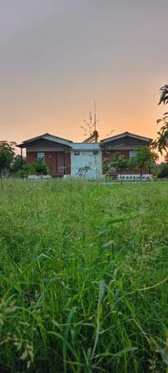 Photo 15 of 16 – 5-room resort with a pool in Haripur, Gir Somnath (BMF-R628)