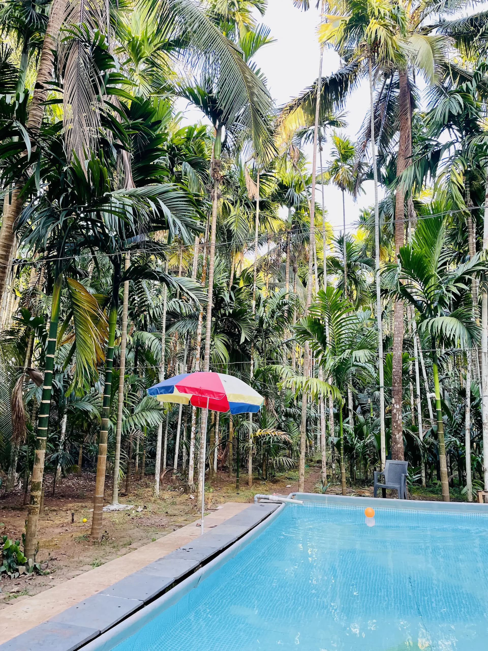 Photo 14 of 20 – 2 BHK farmhouse with a private pool in Advalpal, Bicholim (BMF-F629)