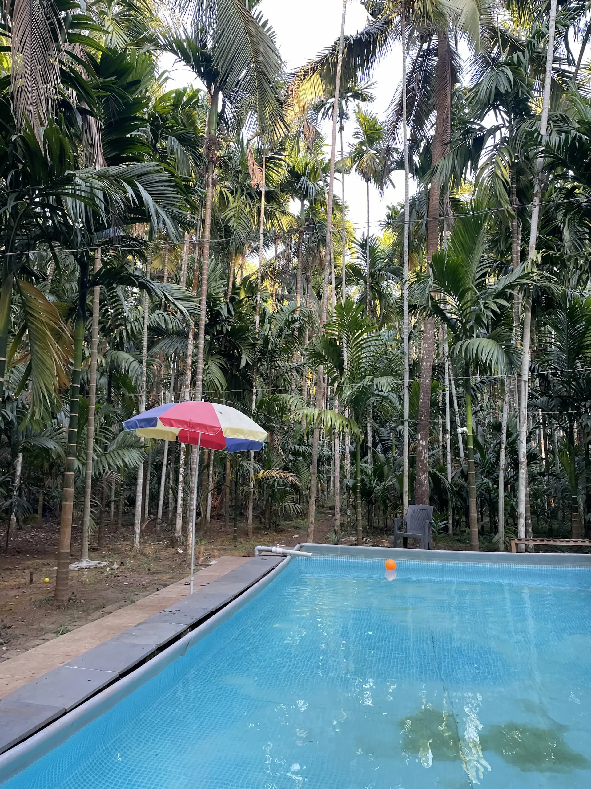 Photo 15 of 20 – 2 BHK farmhouse with a private pool in Advalpal, Bicholim (BMF-F629)