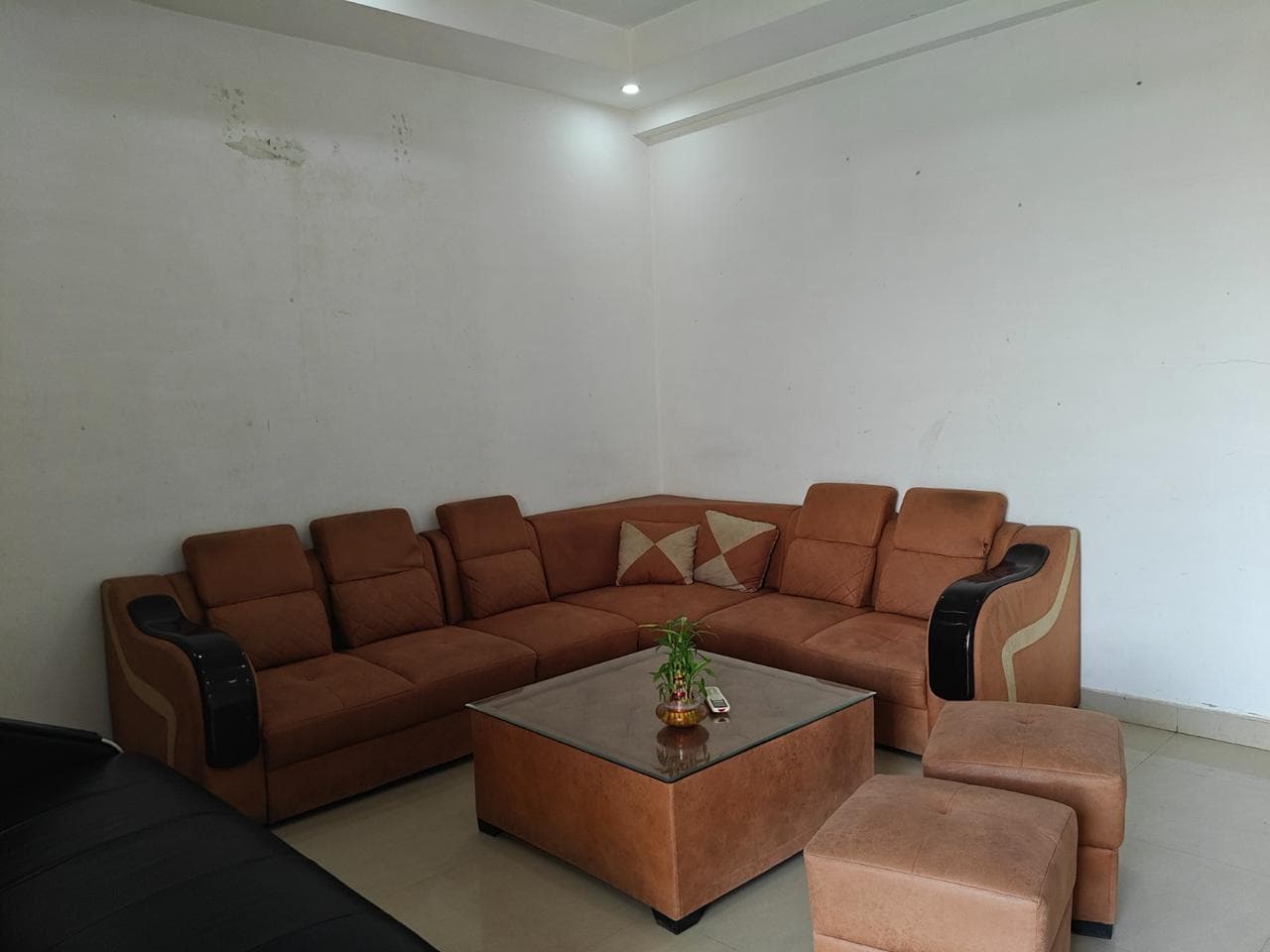 Photo 21 of 25 – 4 BHK farmhouse with a pool in Tonk Road, Jaipur (BMF-F604)