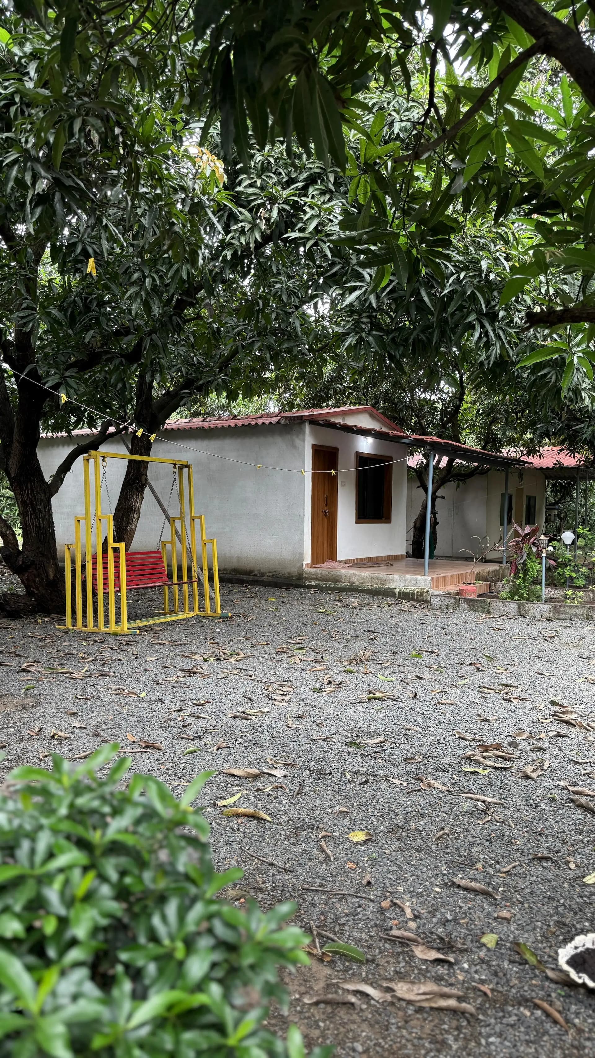 Photo 2 of 14 – 5-room resort with a pool in Talala, Gir Somnath (BMF-R643)
