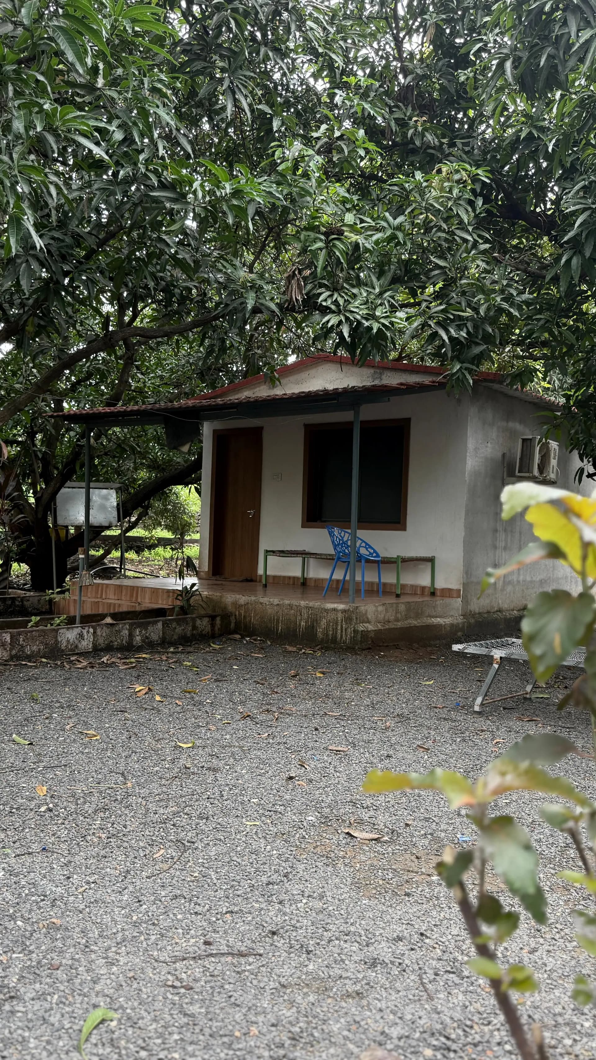 Photo 7 of 14 – 5-room resort with a pool in Talala, Gir Somnath (BMF-R643)