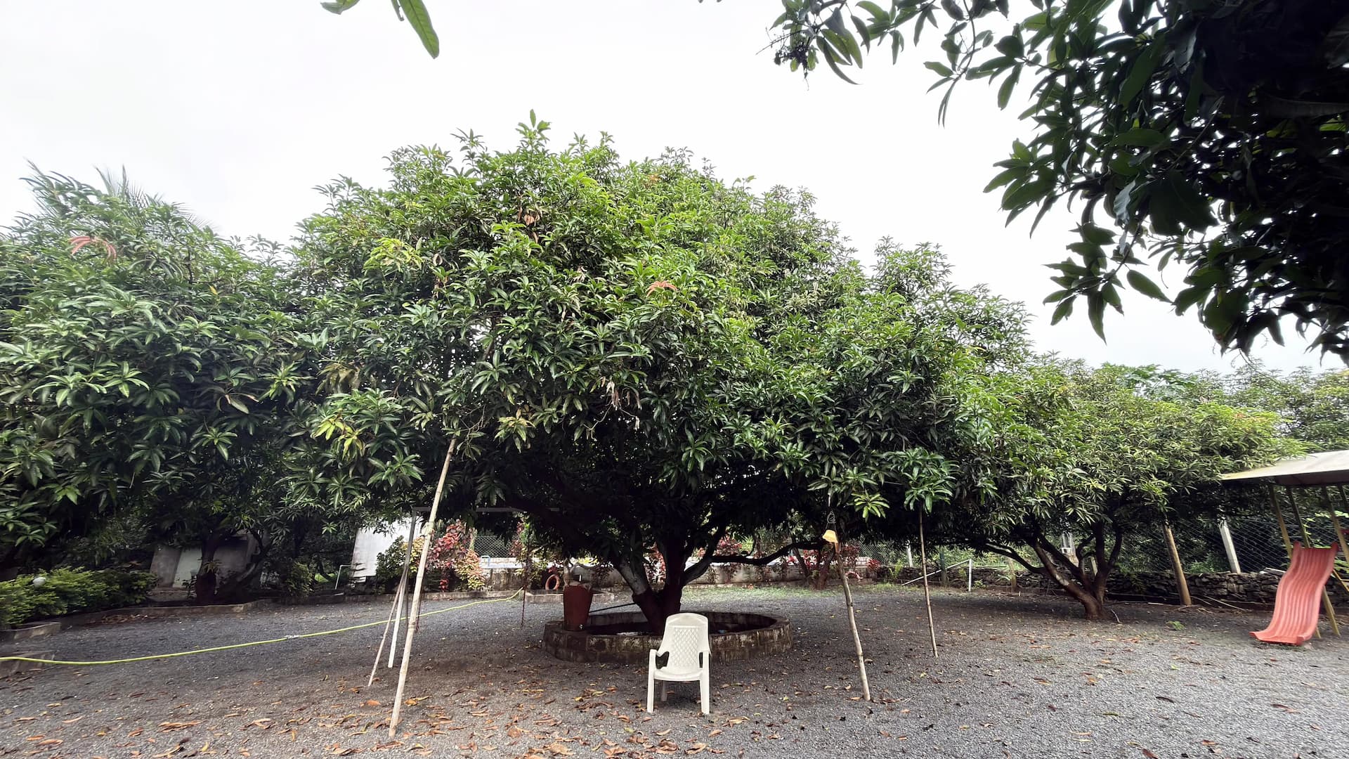 Photo 9 of 14 – 5-room resort with a pool in Talala, Gir Somnath (BMF-R643)