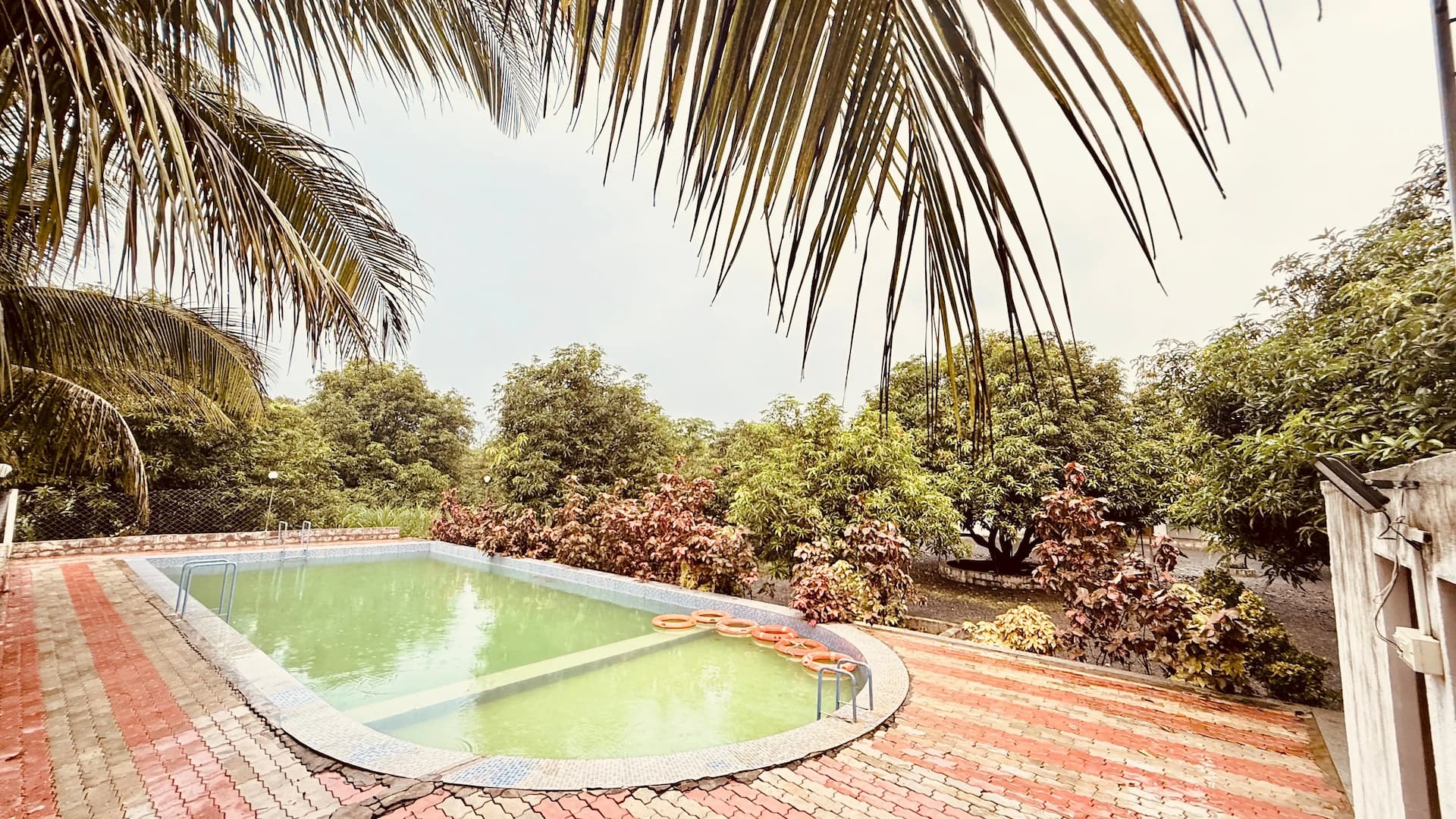 Photo 14 of 14 – 5-room resort with a pool in Talala, Gir Somnath (BMF-R643)
