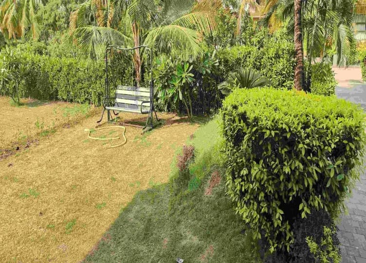 bmf-v050 navsari image 12