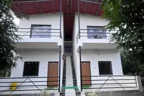 BMF-V097