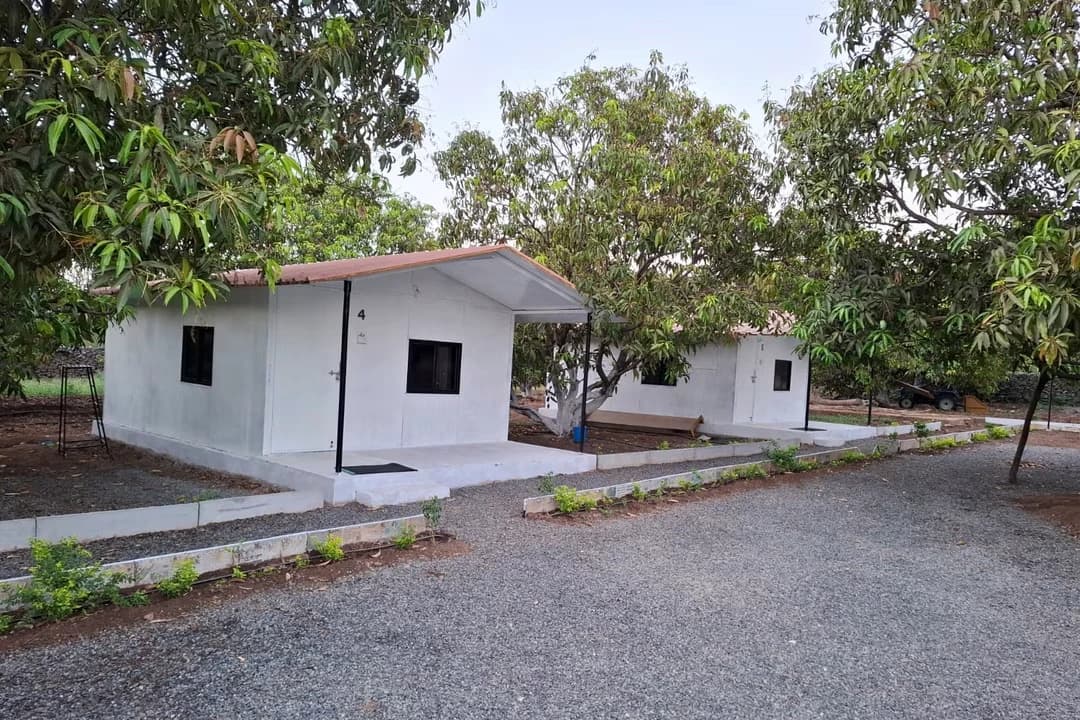 White Wood Gir in Talala — What This Resort Near Gir Somnath Costs