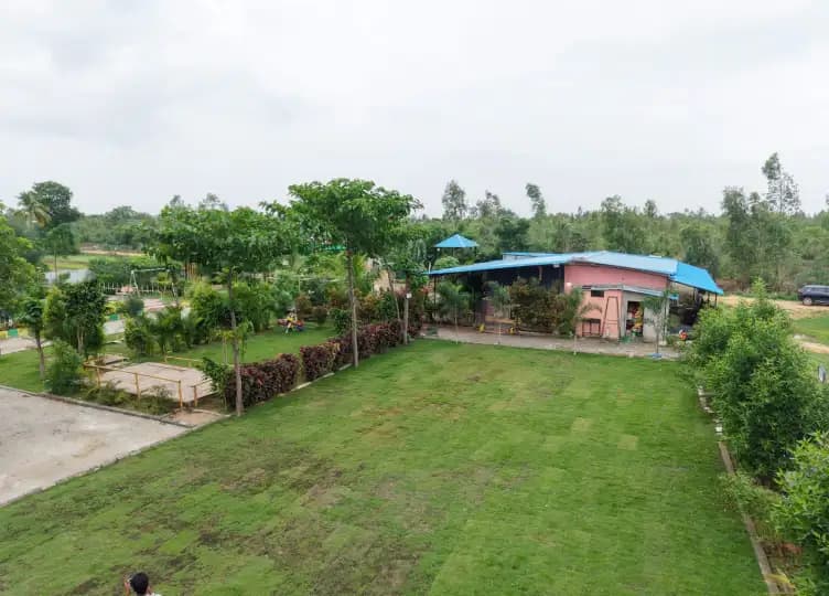 bmf-f199 medak image 6