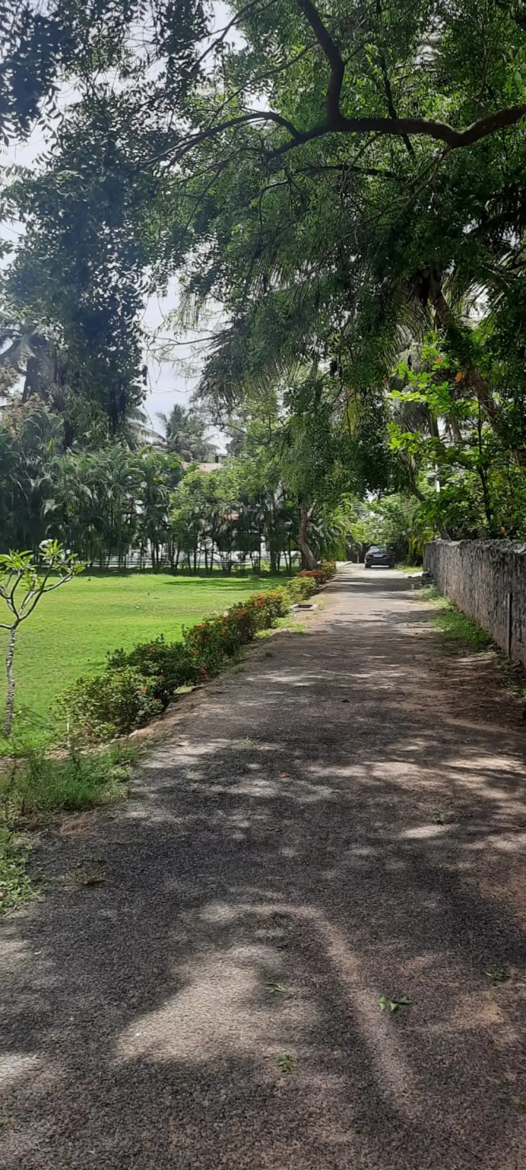 bmf-f300 mahabalipuram image 3