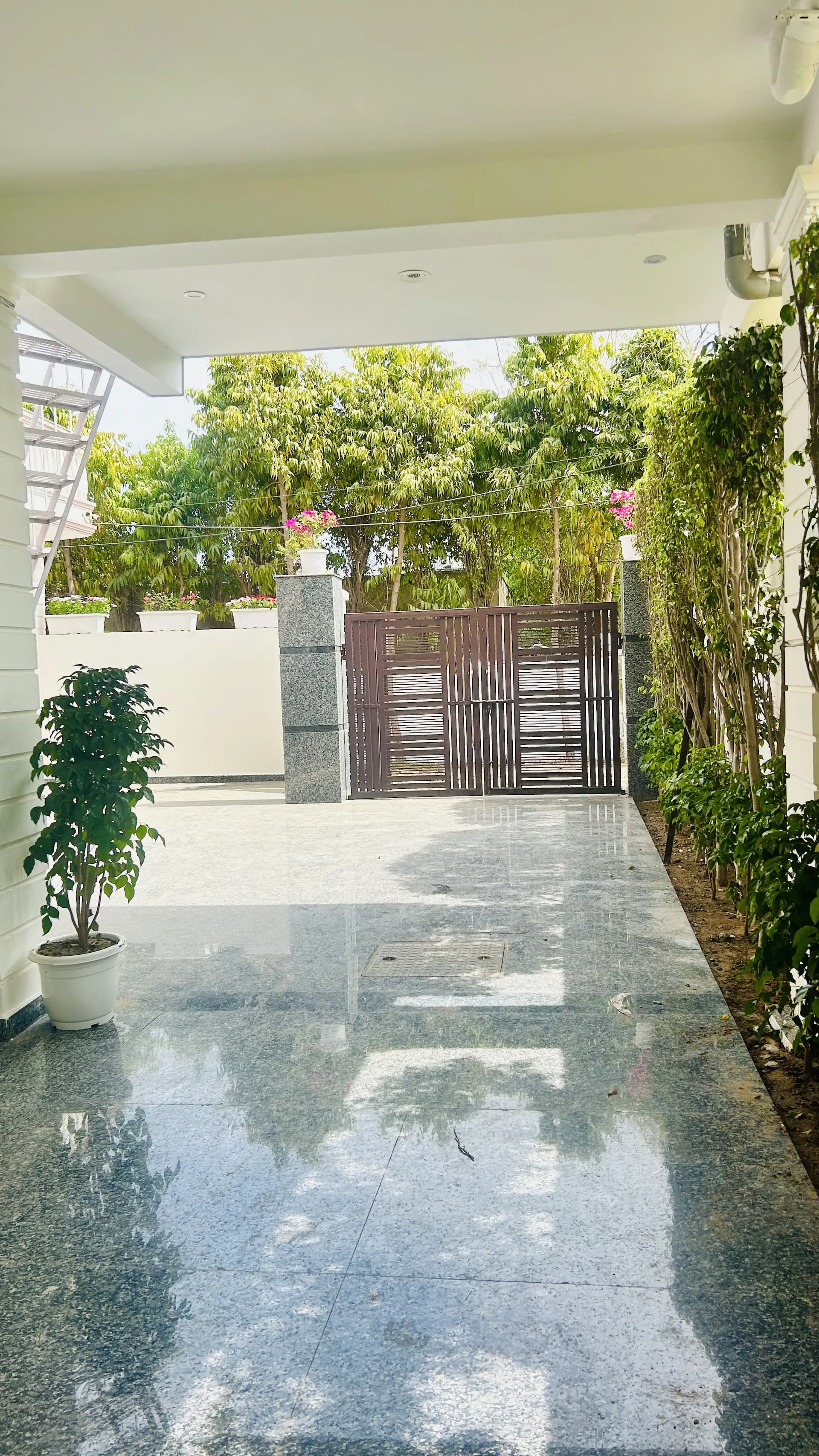 bmf-f308 delhi image 16
