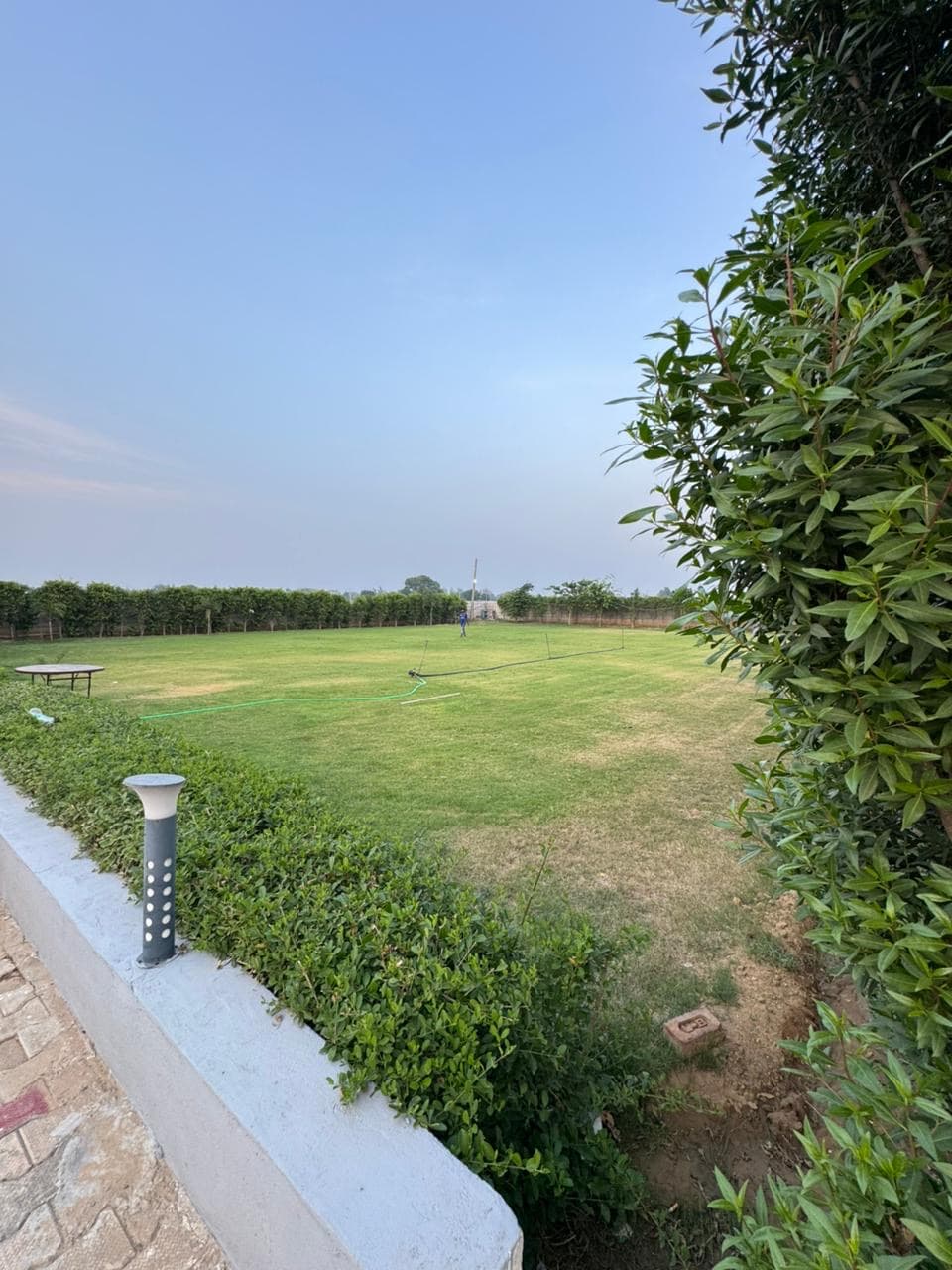 bmf-f388 delhi image 9