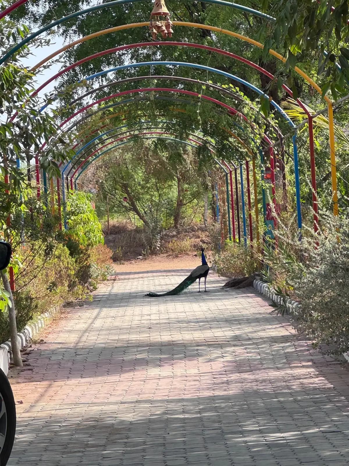 bmf-f456 sabarkantha image 12