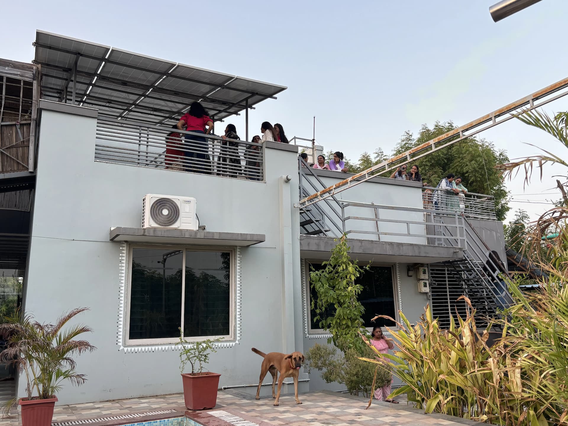 bmf-f456 sabarkantha image 18