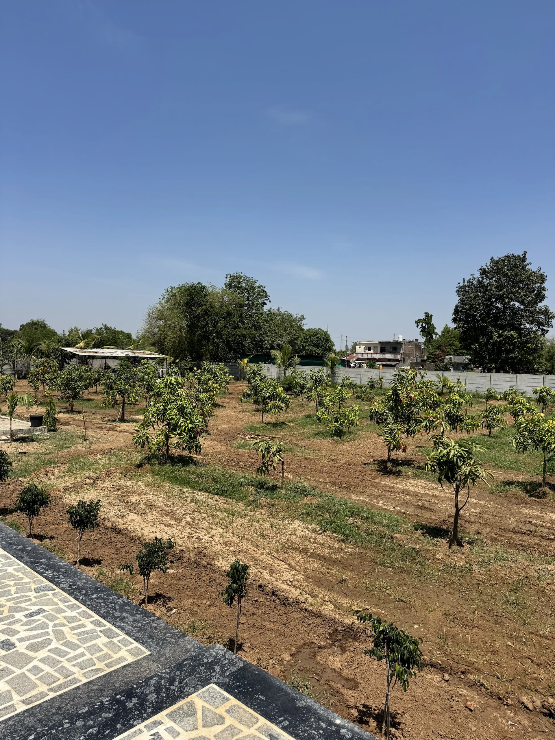 bmf-f471 vadodara image 15