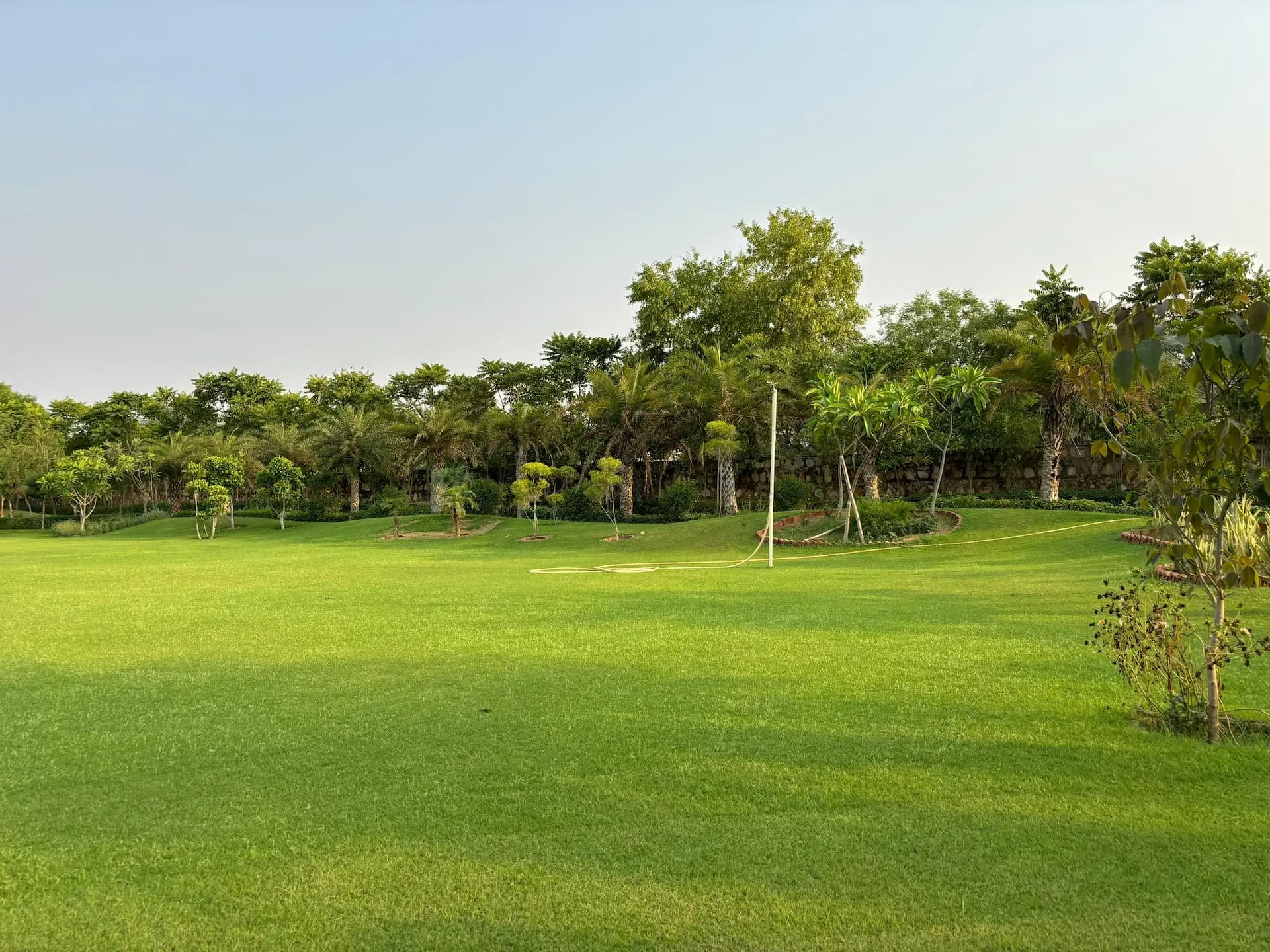 bmf-f473 delhi image 6