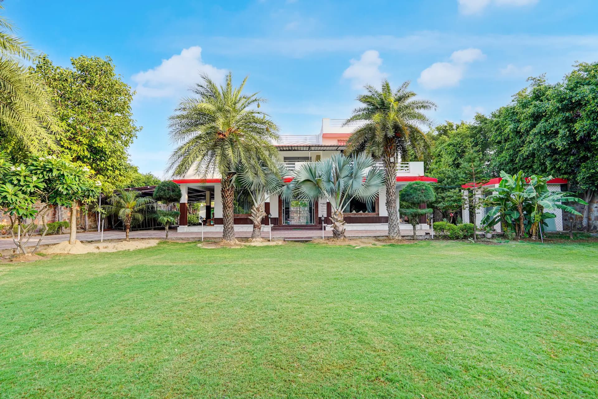 bmf-f515 delhi image 29