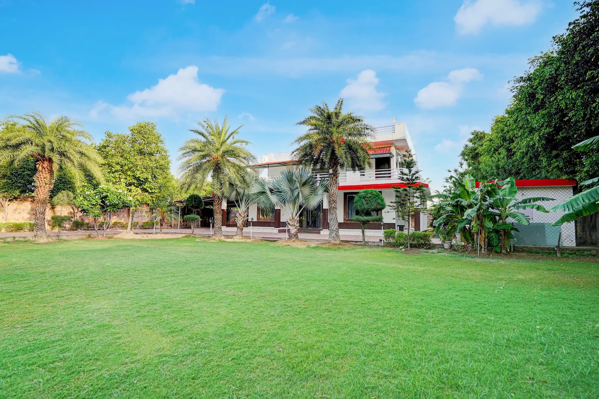bmf-f515 delhi image 30