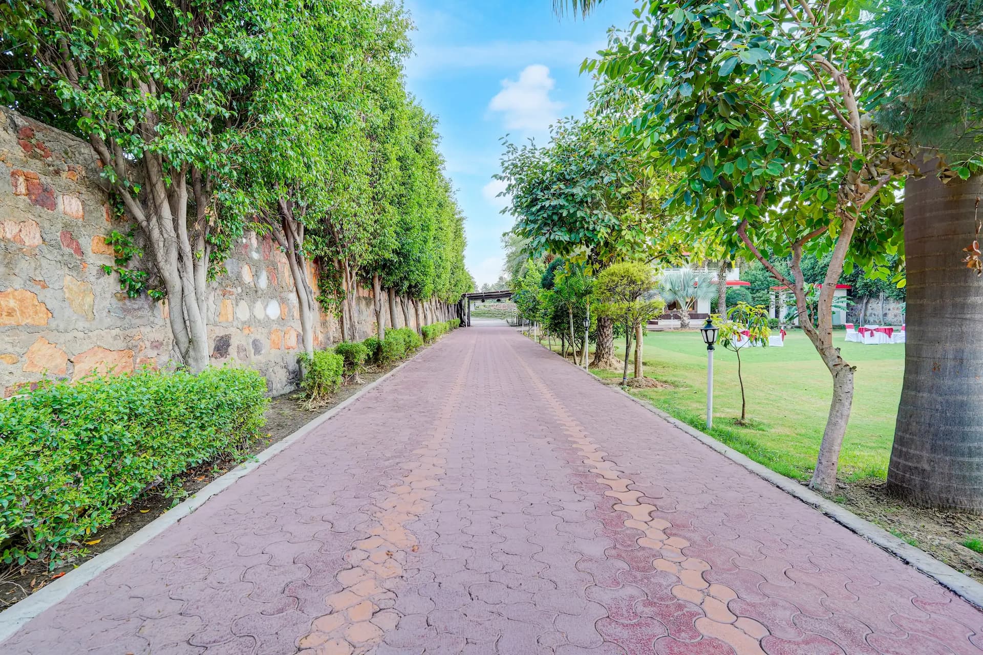 bmf-f515 delhi image 33