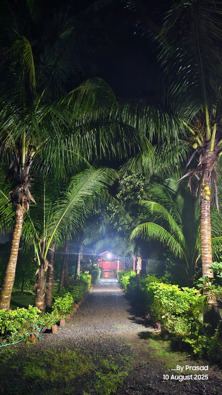 bmf-r531 raigad image 4