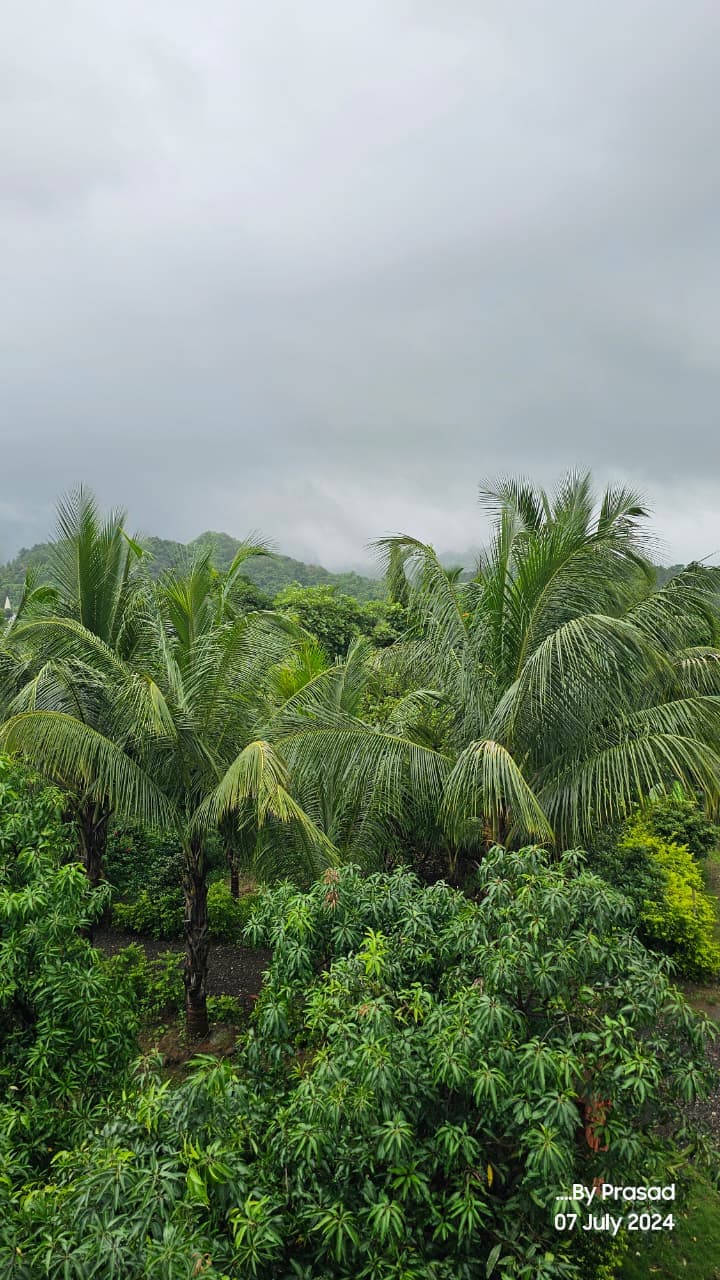 bmf-r531 raigad image 10
