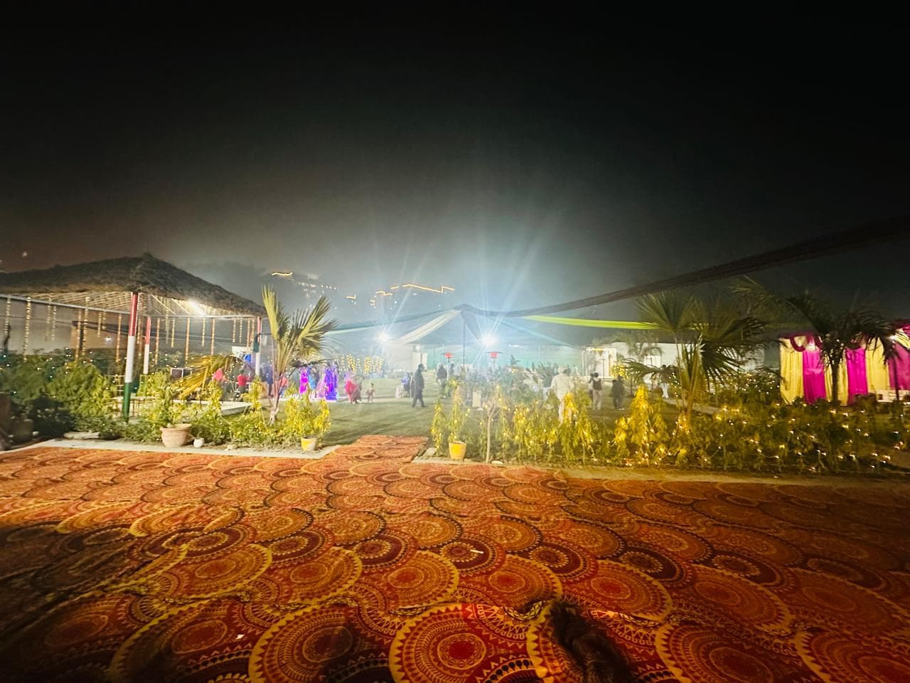 bmf-f539 delhi image 10