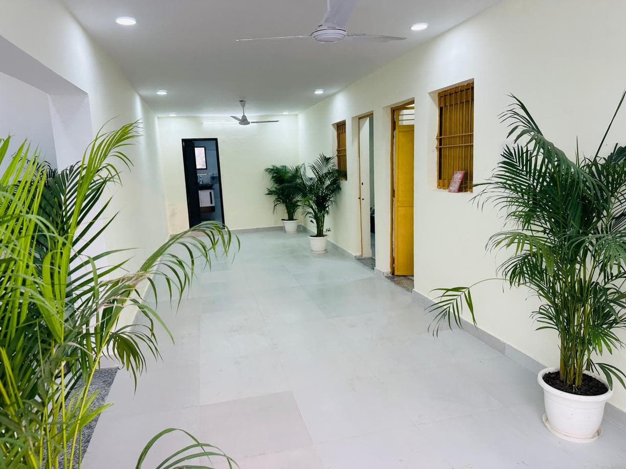 bmf-f539 delhi image 3