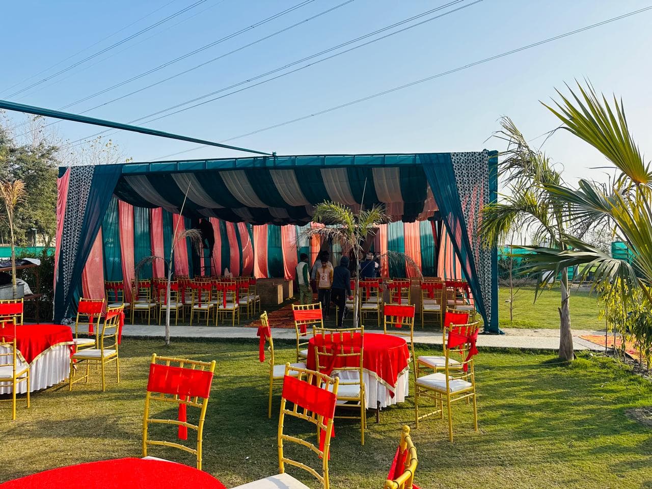 bmf-f539 delhi image 13